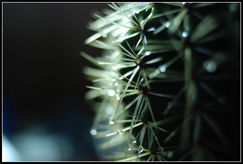 dsc_0213-x_tzdx.jpg