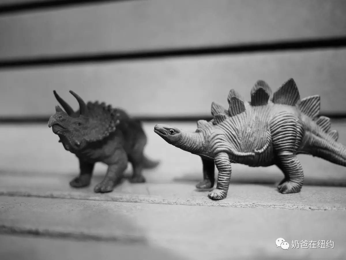 好朋友没有来playground