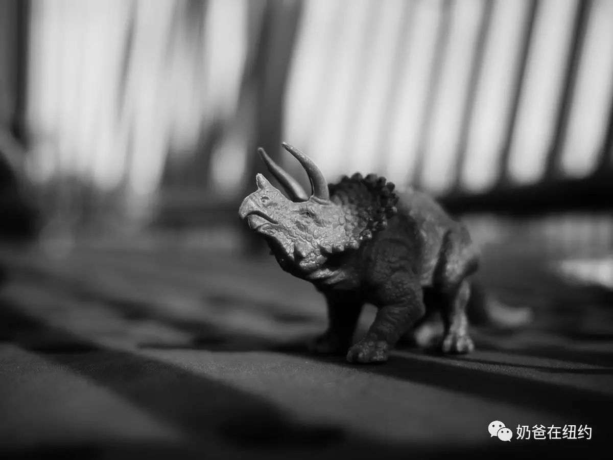 好朋友没有来playground