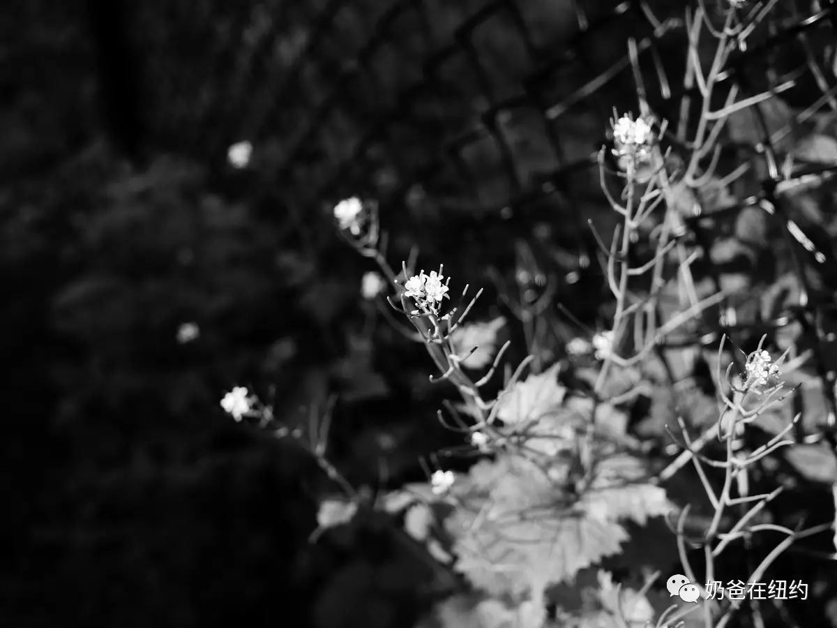 好朋友没有来playground