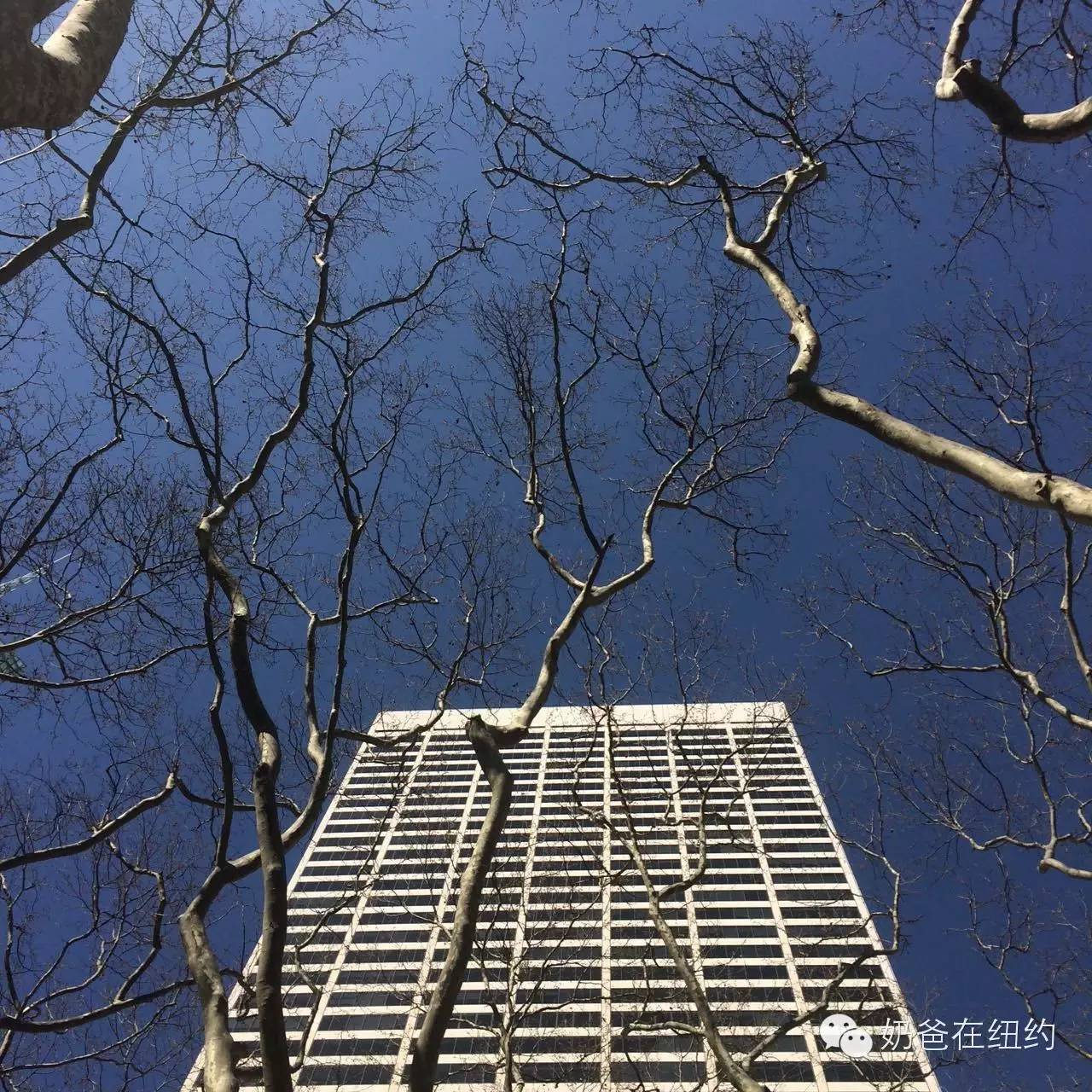 终于知道为什么学不会，掌握不了！