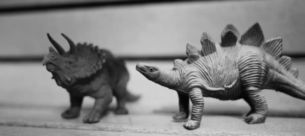 好朋友没有来playground