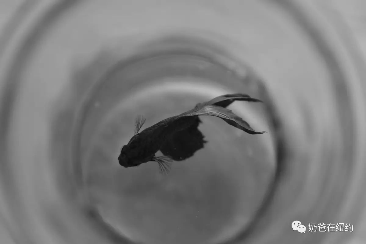 好朋友没有来playground