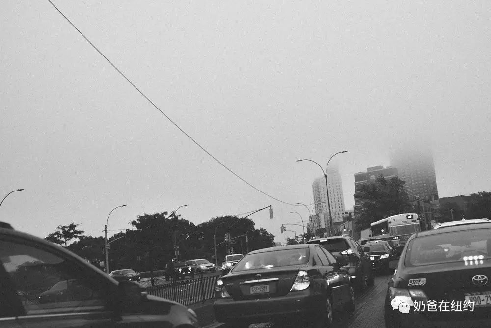 近期单照 0609 2017